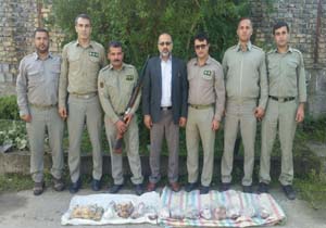 دستگیری متخلفان شکار همراه با ۲ راس کل و قوچ شکار شده