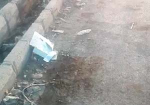 بهداشت اسفناک خیابان&zwnj;ها در مریوان + فیلم