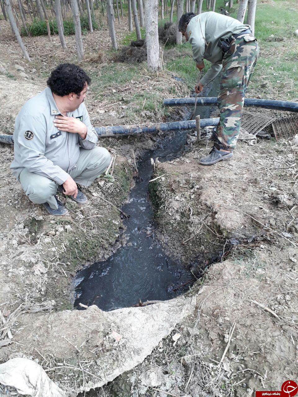 پسماندهای کشتارگاه در زمین کشاورزی + تصاویر