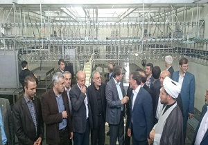 میاندوآب ظرفیت مناسبی در تولید مرغ صادراتی دارد