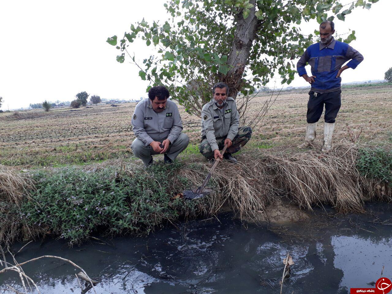 ورود فاضلاب به زمین&zwnj;های کشاورزی روستای &laquo;سراج&raquo; + تصاویر