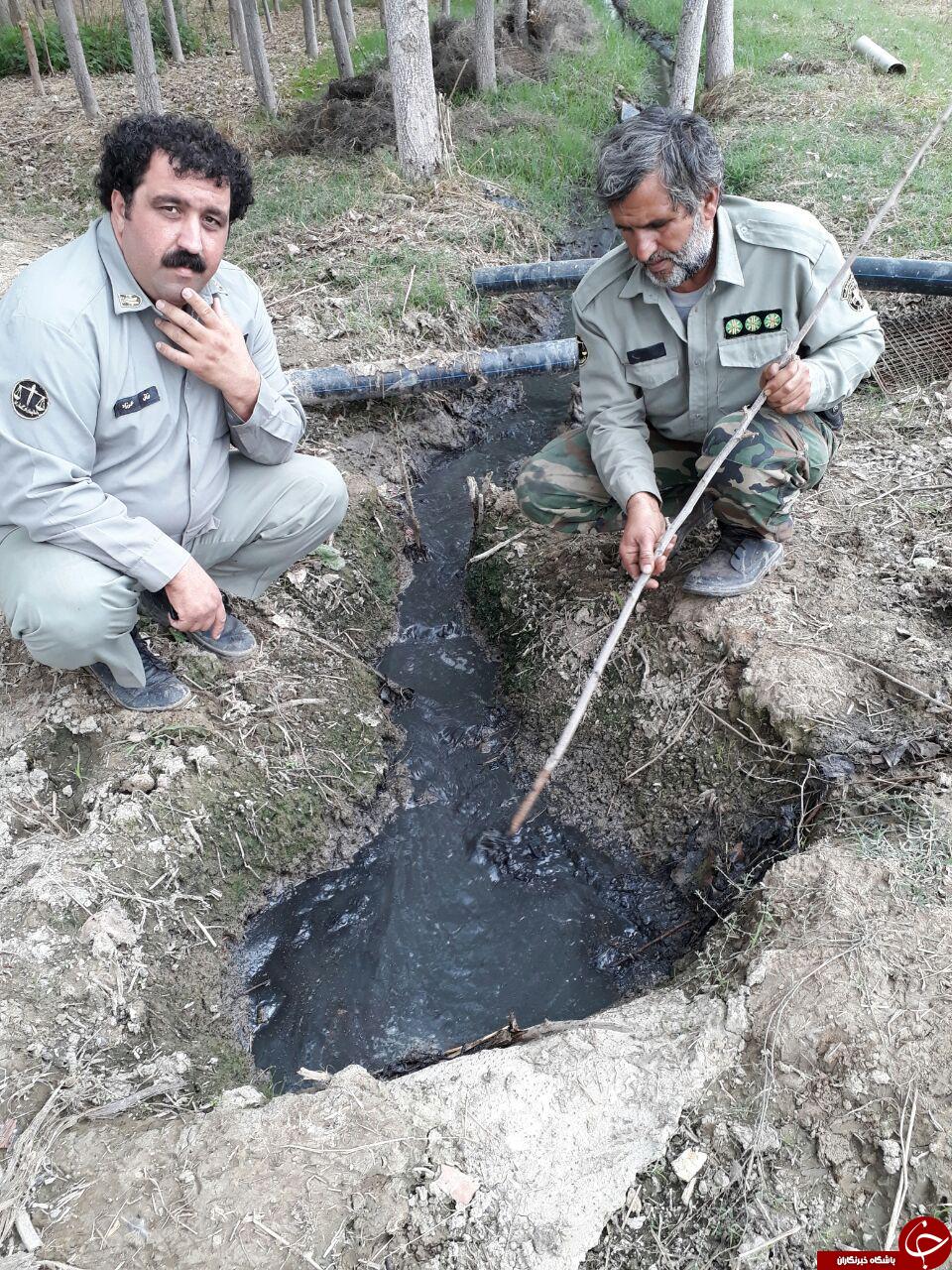 ورود فاضلاب به زمین&zwnj;های کشاورزی روستای &laquo;سراج&raquo; + تصاویر