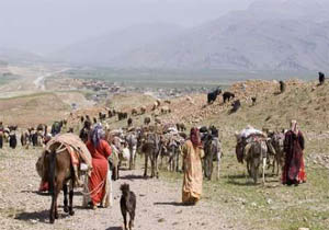 کمبود علوفه و آب در مناطق عشایری گچساران