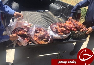 کشف ۱۴۸ کیلوگرم فرآورده‌های خام دامی غیر قابل مصرف