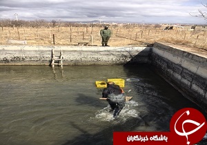 معرفی پرورش دهنده ماهی متخلف به دادگاه
