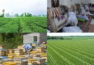 پرداخت بیش از ۱۵ میلیارد تومان تسهیلات اشتغال به مددجویان