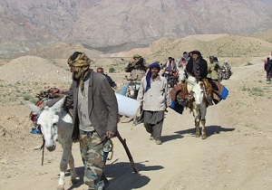 جمعیت عشایر خراسان جنوبی 81 هزار نفر است