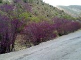 توجه به ایجاد زیرساخت در مناطق گردشگری در ایلام توجه به ایجاد زیرساخت در مناطق گردشگری در ایلام