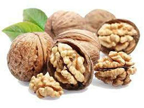 برداشت 75 تُن گردو در نجف آباد