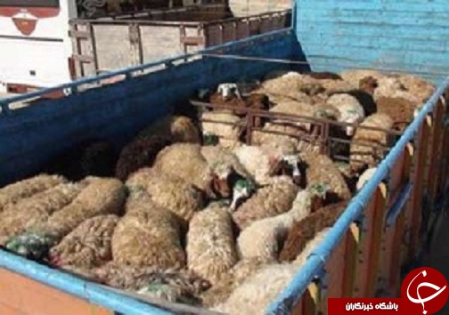 بسته خبری دوشنبه بیست و چهارم مهرماه