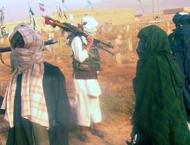 شیبکوه فراه به دست طالبان سقوط کرد