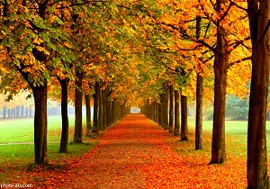 وضعیت آب و هوای استان کرمانشاه