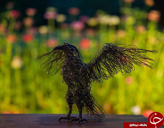مجسمه های بی نظیر از جنس سیم+تصاویر