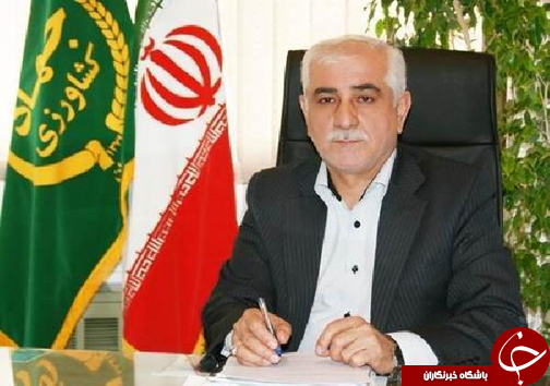 ترک خوردگی مرکبات، صورت حساب سنگین باغداران مازندرانی