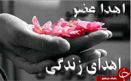 انهدام بمب ١٠٠٠ پوندی در سردشت /یک کشته و ۲ مجروح براثر واژگونی پژو ۴۰۵ /اهدای عضو دو بیمار مرگ مغزی در آذربایجان غربی/کاهش ۳ سانتی متری تراز آبی دریاچه ارومیه
