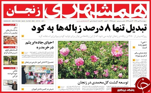 از تبدیل زباله به کود تا سوگ بی پایان خانواده&zwnj;های معدنچان آزاد شهر
