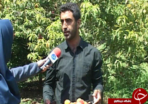 رونق اقتصادی با فرآوری محصولات باغی و کشاورزی