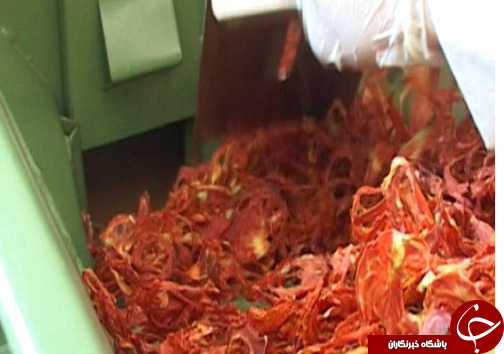 رونق اقتصادی با فرآوری محصولات باغی و کشاورزی