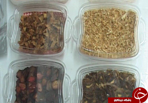 رونق اقتصادی با فرآوری محصولات باغی و کشاورزی