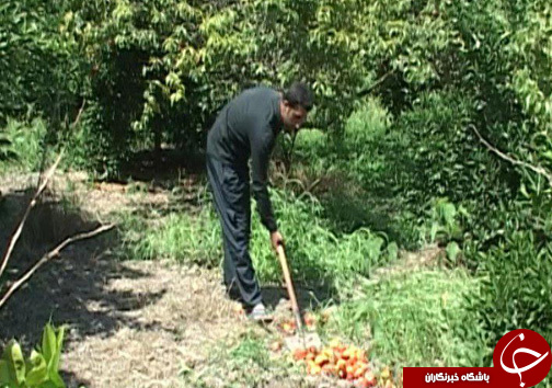 رونق اقتصادی با فرآوری محصولات باغی و کشاورزی
