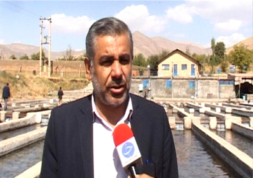 رتبه نخست تولید ماهی پرورشی لرستان در بین استان&zwnj;های غیر ساحلی / پرورش ماهی آزاد برای اولین بار در لرستان + تصاویر