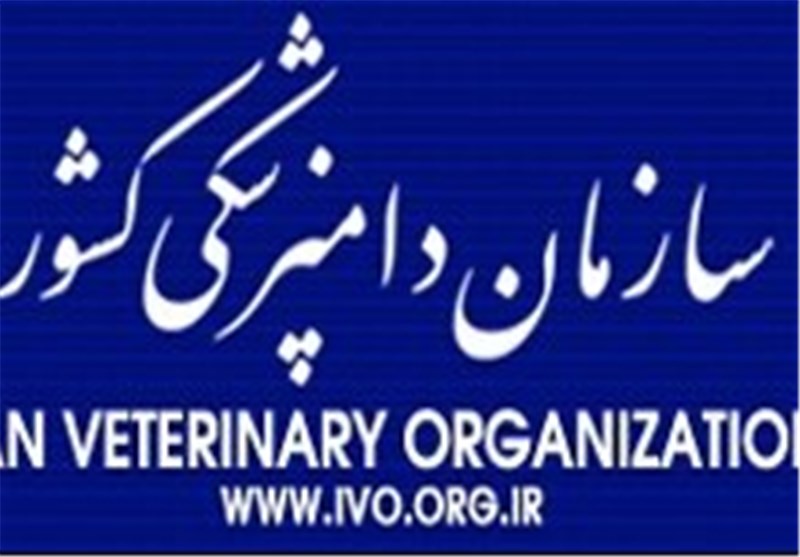 نظارت 700ناظر شرعی بر کشتار دام درکشور