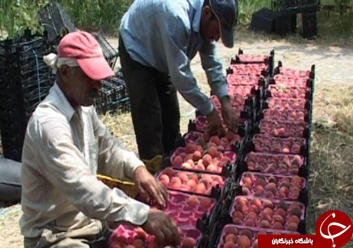 نگاهی گذرا به مهمترین رویداد&zwnj;های ۲۶ مهر در مازندران