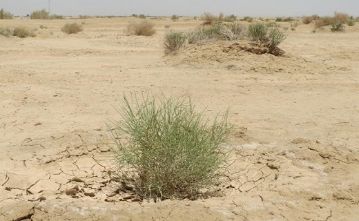 نگاهی به پر بیننده ترین اخبار روز گذشته در سمنان