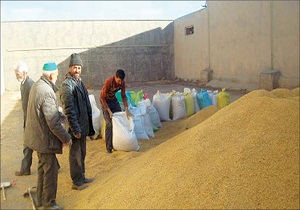 تحویل جوی یارانه دار به دامداران گرمسار و آرادان