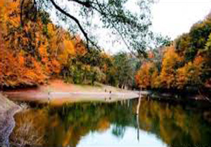 بهار در پائیز