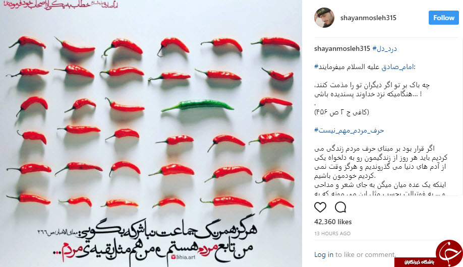 شایان مصلح + عکس شایان مصلح + عکس