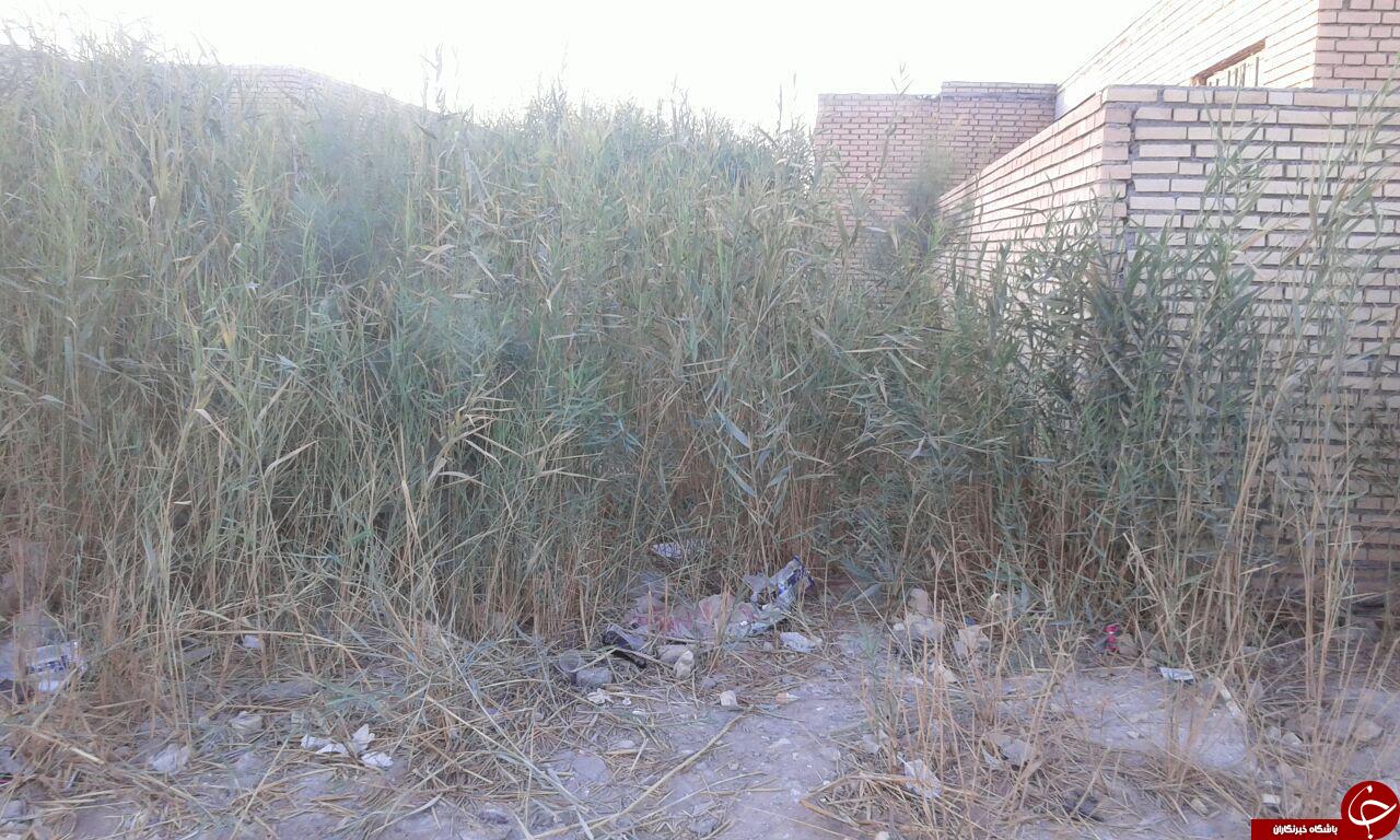 بهداشت اسفناک معابر در خرمشهر + فیلم