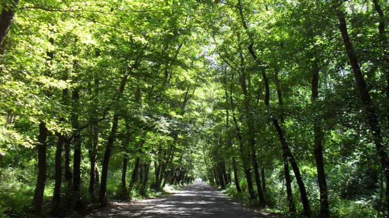 صفرابسته؛ روستایی با قدمت ۱۵۰۰ ساله