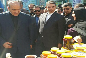آغاز به کار جشنواره انگور هزاوه