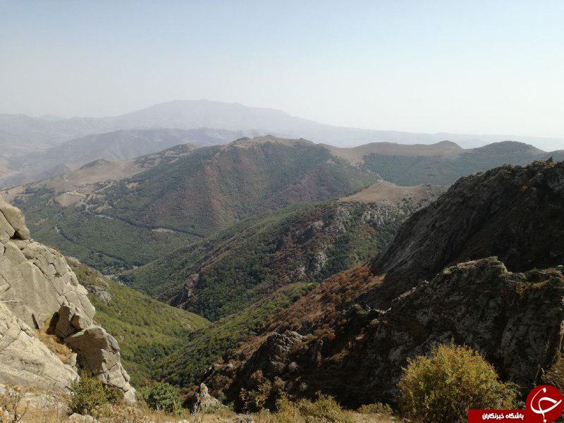 تصاویری از جنگل&zwnj; زیبای قره&zwnj;داغ