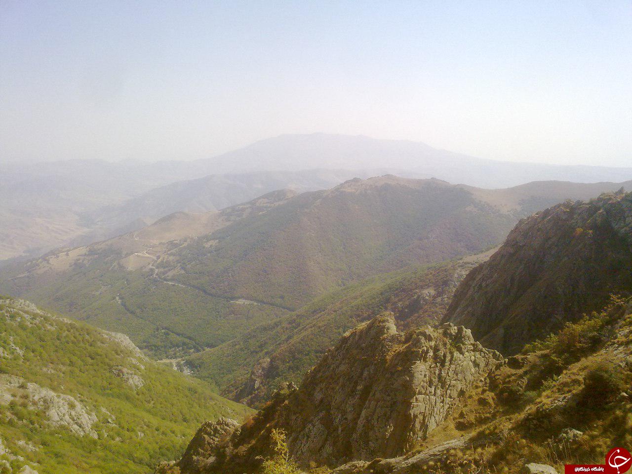 تصاویری از جنگل&zwnj; زیبای قره&zwnj;داغ