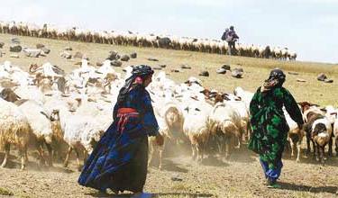 رییس مرکز ملی فضای مجازی:توسعه اشتغال روستایی نیازمند طرح های کلان است