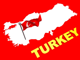 استعفای مشاور ارشد اردوغان در حزب حاکم ترکیه