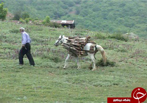 پایان وابستگی گازی ایران به ترکمنستان با افروختن مشعل گازی در منطقه هزار جریب نکا پایان وابستگی گازی ایران به ترکمنستان با افروختن مشعل گازی در منطقه هزار جریب نکا