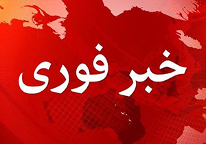 سرقت از طلافروشی‌های خنج و گراش/پلیس در جستجوی دختربچه سارق و ۳ زن + عکس
