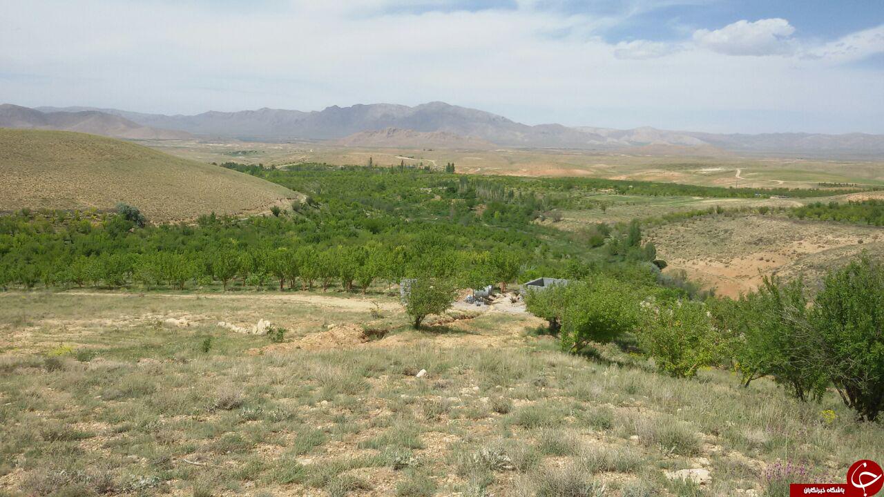 چشم اندازی از طبیعت دیدنی دورود + تصاویر