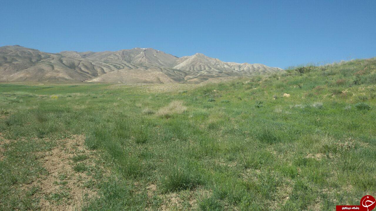 چشم اندازی از طبیعت دیدنی دورود + تصاویر