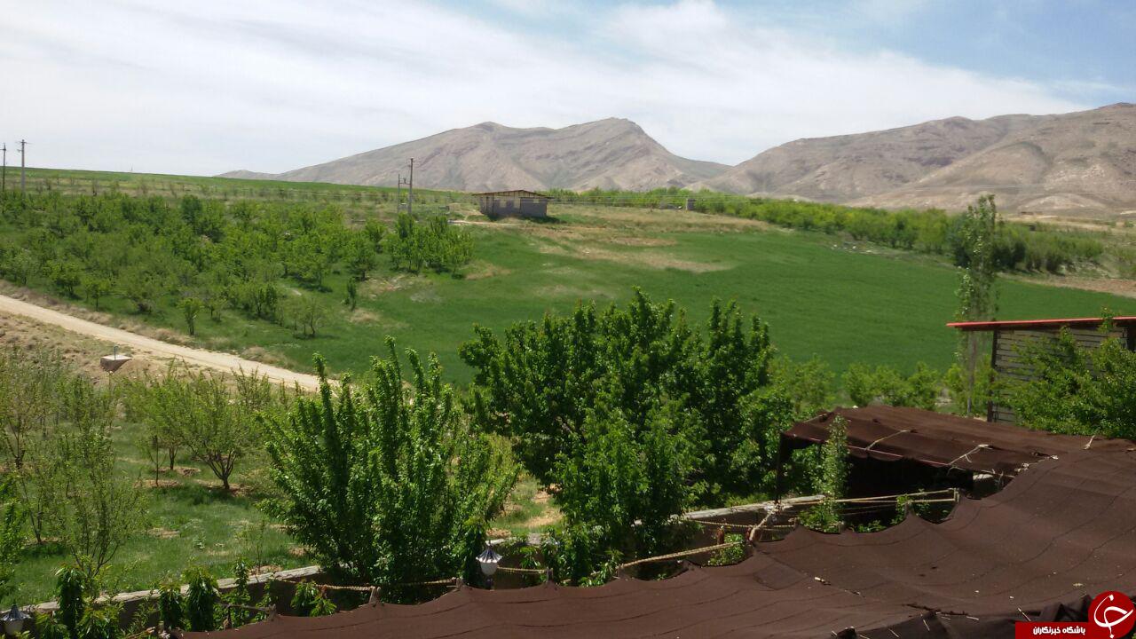 چشم اندازی از طبیعت دیدنی دورود + تصاویر
