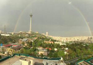 صیانت از گونه&zwnj;های گیاهی پارک پردیسان ضروری است