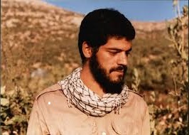 اینفوگرافی شهید سیدمحمد شکری دانشجوی نخبه پزشکی