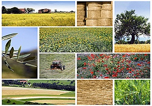 اجرا طرح روستا تعاون در روستاهای بالای ۵۰ خانوار بیرجند