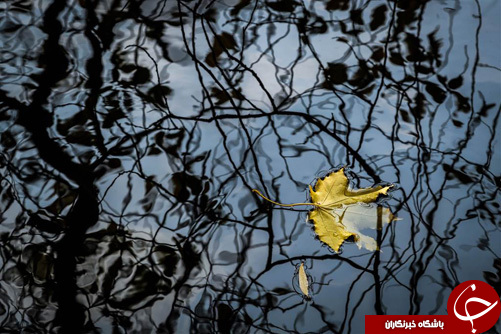 تصاویر هفته: از آزادسازی کرکوک به دست نیروهای ارتش عراق تا انفجار تروریستی مهیب در موگادیشو