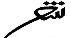 احساس در شعر نباید دستخوش محتوا قرار بگیرد