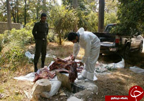 نگاهی گذرا به مهمترین رویداد&zwnj;های یکشنبه ۲ مهرماه در مازندران