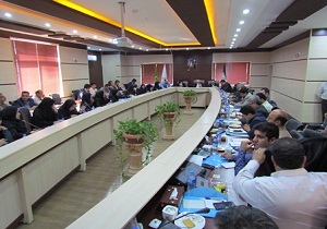 طرح صندوق خرد زنان روستایی در کشور اجرا شد